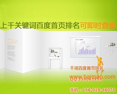北京網(wǎng)站優(yōu)化與網(wǎng)絡營銷推廣 賦能中小企業(yè)線上增長新引擎