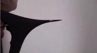 建筑建材領(lǐng)域技術(shù)轉(zhuǎn)讓與開發(fā) 引氣劑、外墻彈性膩?zhàn)臃邸⑺嗝撃?yīng)用前景